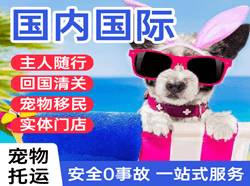 重庆航空运输国际宠物托运 【国